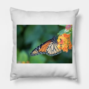 Emerald Monarch Pillow