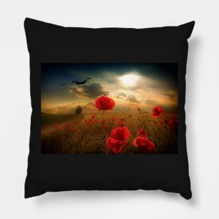 Royal Air Force Tribute Pillow