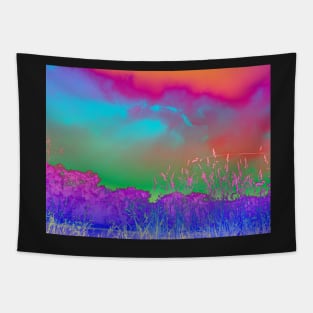 Bright rainbow landscape Tapestry