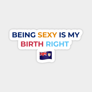 Being Sexy is My Birth Right AXA Magnet