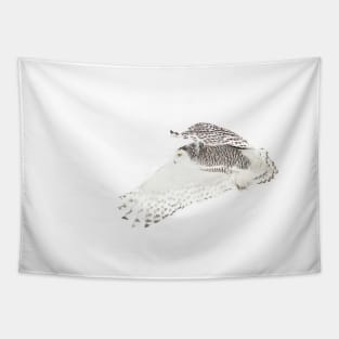 Snowy Owl Tapestry