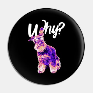 Why alternative hip hop Pin