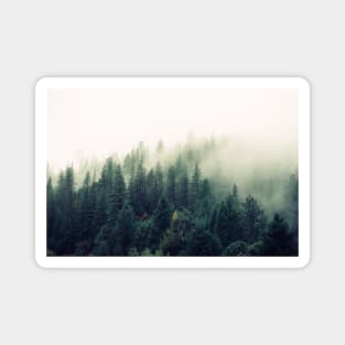 Foggy Forest View Magnet