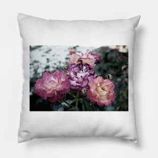 Neon Pink Roses 2 Pillow