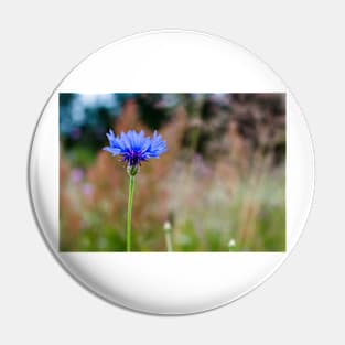 Blue cornflower Pin