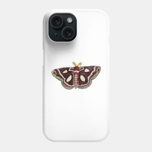 Watercolor Cecropia (silk) Moth Phone Case