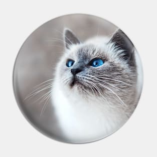 Cat Pet Animal with Blue Eyes Pin