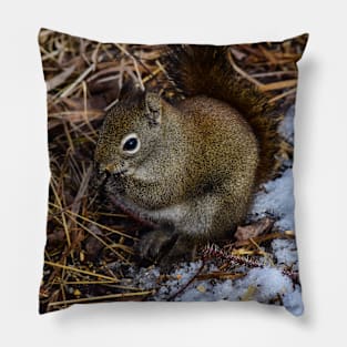 Red Squirrel. Pillow