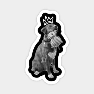 tshirt- king of dog cute Magnet