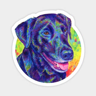 Psychedelic Rainbow Black Labrador Retriever Magnet