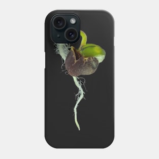 Reflected light micrograph of young turnip sprout Phone Case