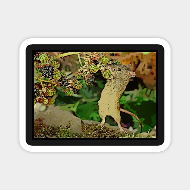 The mouse that lives by the Brambles Magnet by Simon-dell
