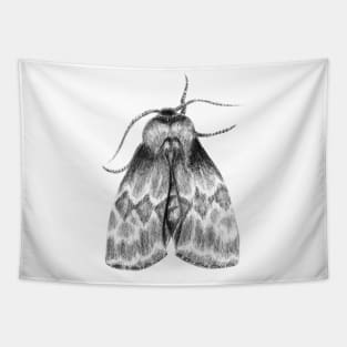 Moth Insect Pencil Drawing Tapestry