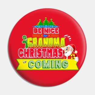 Be Nice to Grandma Christmas Gift Idea Pin