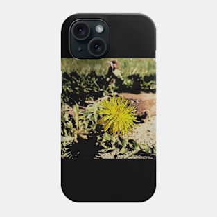 Springtime Phone Case