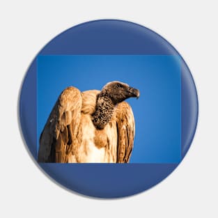 Vulture Pin