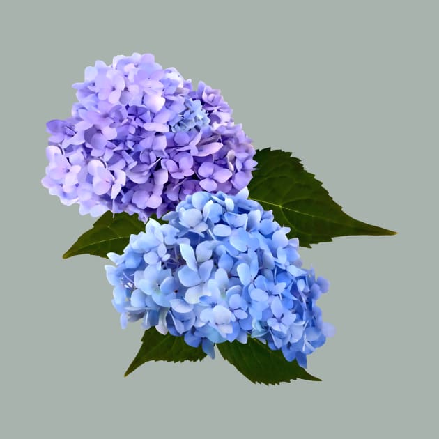 Two Hydrangea Blue and Lavender by SusanSavad