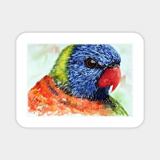 Rainbow Lorikeet Magnet