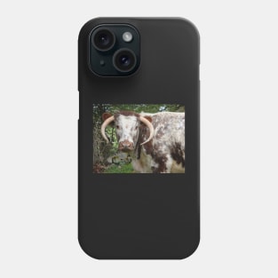 How Now Brown Cow Phone Case