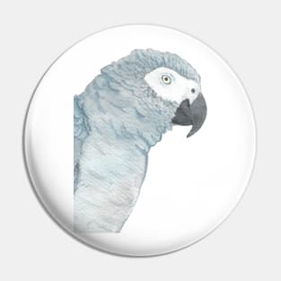 african grey watercolor parrot portrait Pin