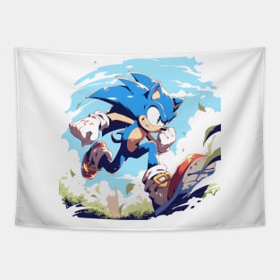 sonic Tapestry