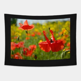 Wild Red Poppies Tapestry