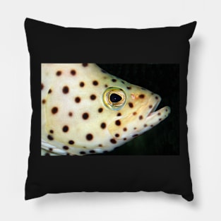 Fish Portrait - Wilf Pillow