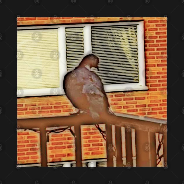 Pigeon on the Balcony by Alemway