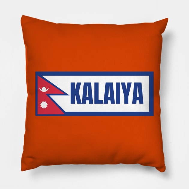 Kalaiya City with Nepal Flag Pillow by aybe7elf