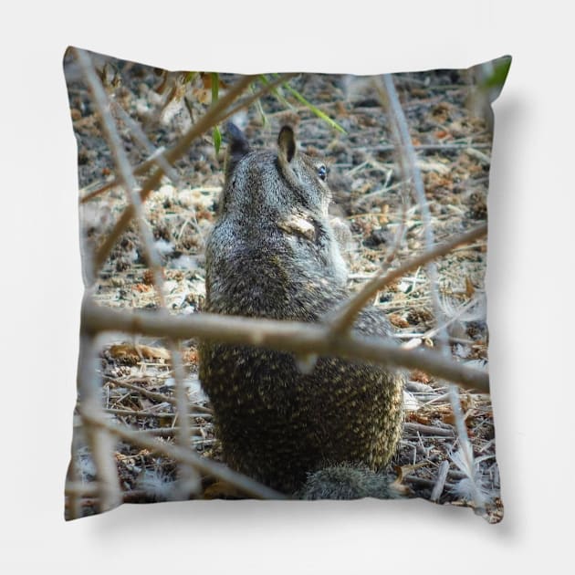 Sitting squirrel Pillow by FriendlyComputerHelp