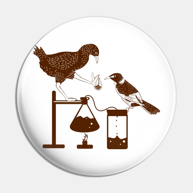 New Zealand birds science experiment Pin by mailboxdisco