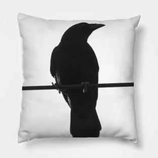 crow on a wire Pillow