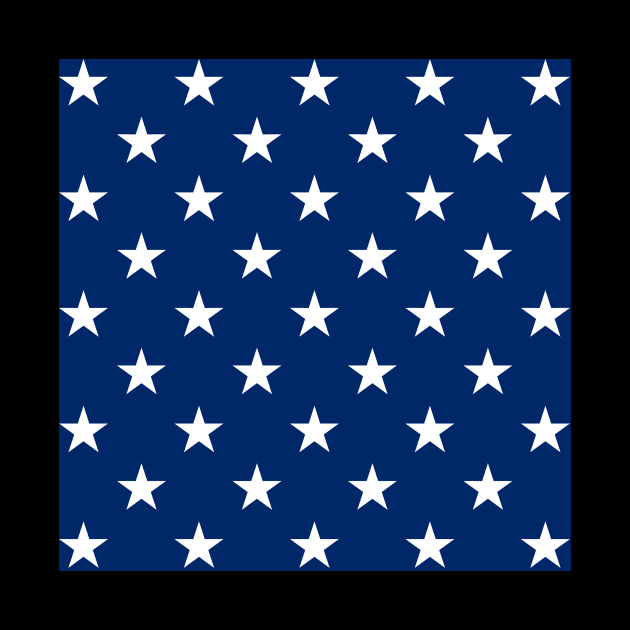 American Flag Star Field Design by Brobocop