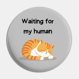 Sleeping Affirmation Cat Waiting for my human | Cat Lover Gift | Law of Attraction | Positive Affirmation | Self Love Pin