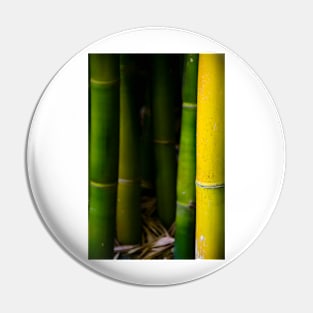 Bamboo Pin