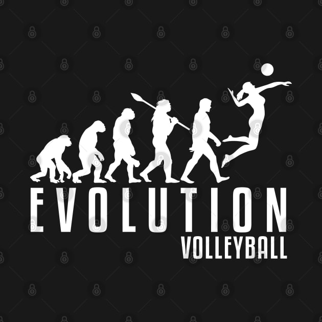 Volleyball Evolution by songolas