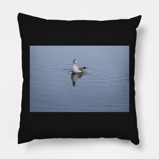 Gull on the water Pillow by jomaot