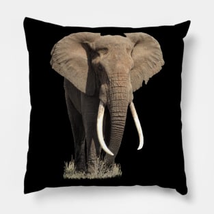 Elephant on Safari in Kenya / Africa Pillow