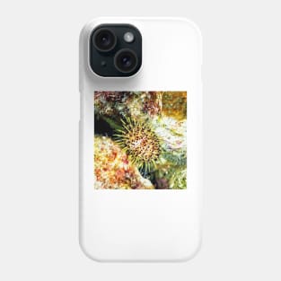 Jewell Sea Urchin on a Coral Reef Phone Case