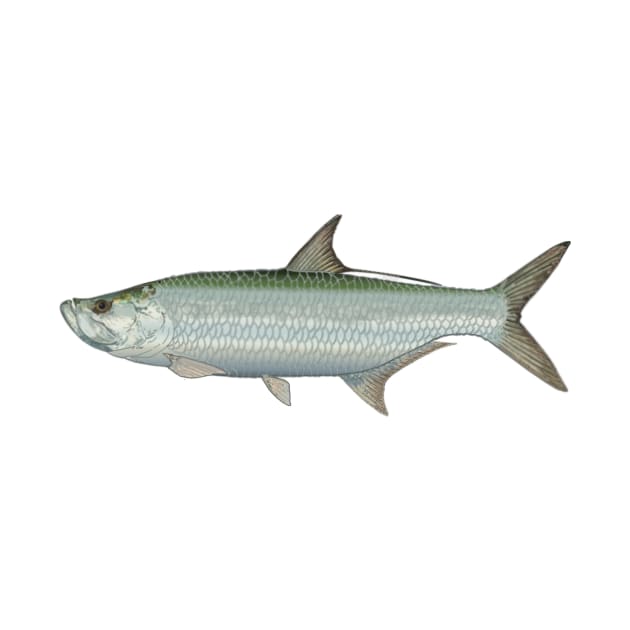 tarpon by Hook Ink