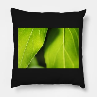 Refreshingly Green Leaves Pillow