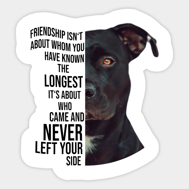 pitbull design