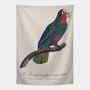 Cuban Amazon Parrot / Le Perroquet a Face Rouge Male - 19th century Jacques Barraband Illustration Tapestry
