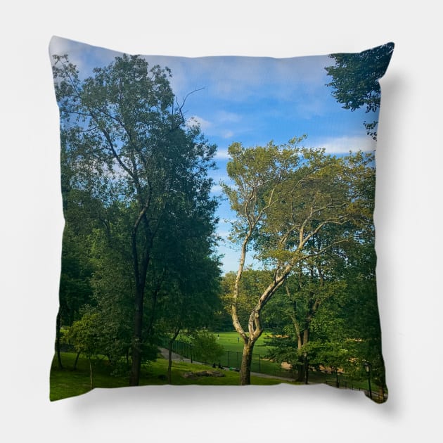 Central Park, Manhattan, New York City Pillow by eleonoraingrid