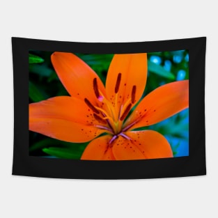 The daylily Digital Art Tapestry