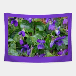 violets Tapestry