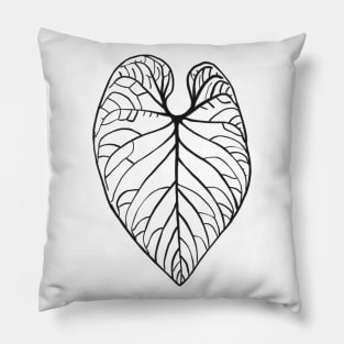 Anthurium regale Pillow