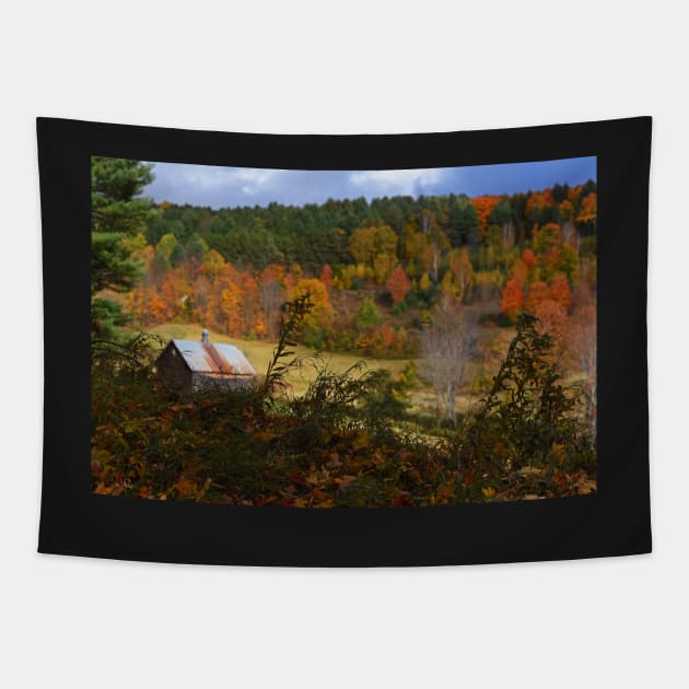 Sleepy Hollows Farm Woodstock Vermont VT Pond Shack Foliage Tapestry by WayneOxfordPh