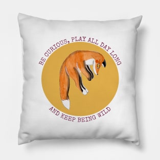 be curious Pillow