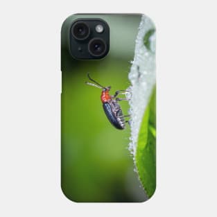 Unique and organic photo of a leaf beetle crossing a slippery dew covered leaf Phone Case